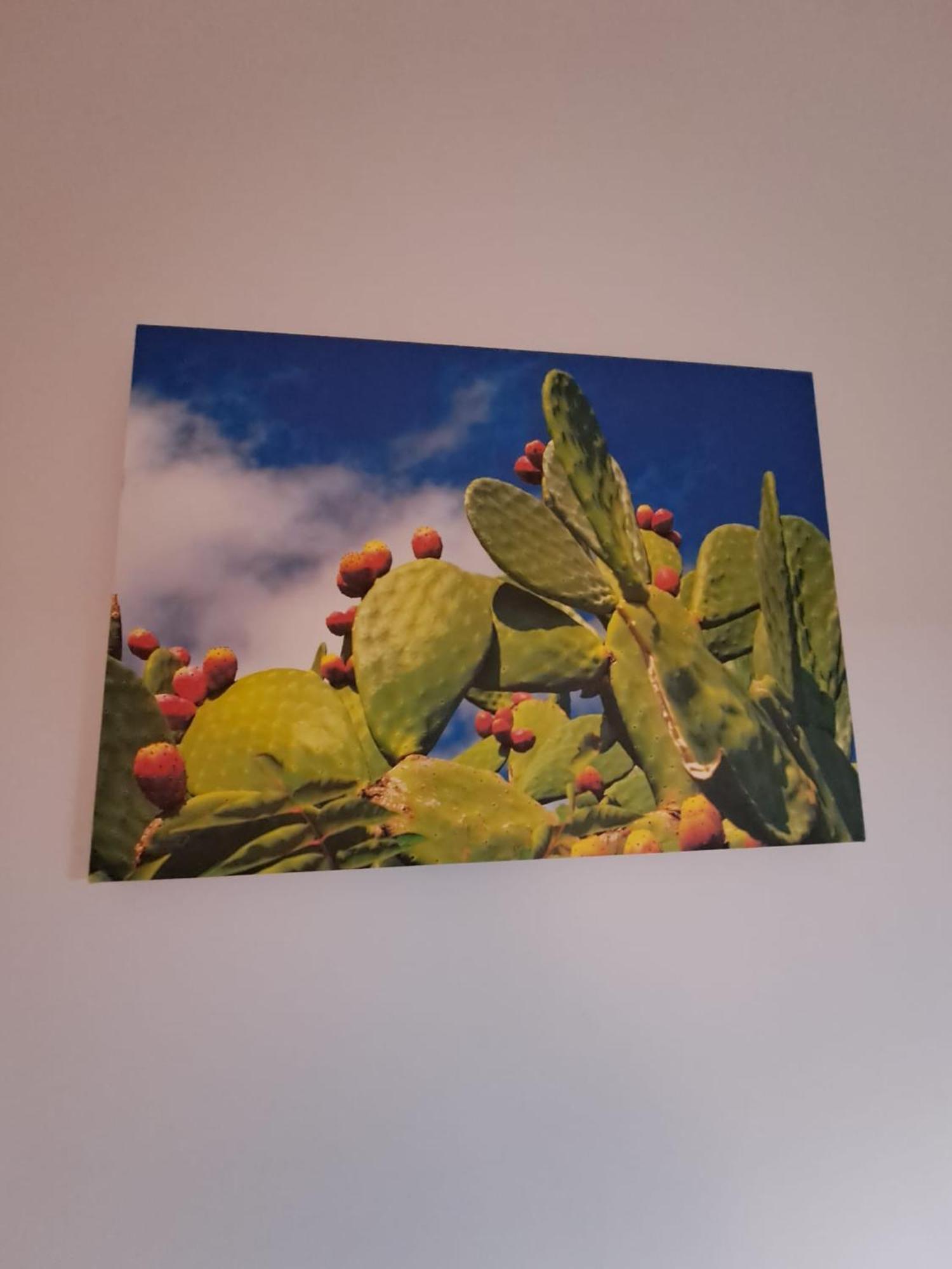 Appartamento Ammirata ปาแลร์โม ภายนอก รูปภาพ